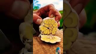 Outdoor cooking food cooking outdoorcooking recipe nature forest fire asmr foodie [upl. by Gibbeon]