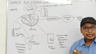 Emetics amp Antiemetics Drugs Physiology of Vomiting Classification  Ch8 Unit1 PharmacologyIII [upl. by Lansing]