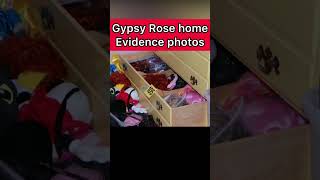 Gypsy Rose Blanchard house evidence [upl. by Aneerb]