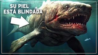 Devónico La Era poco Conocida en la que los Tiburones Prehistóricos Blindados Dominaban los Mares [upl. by Perkins]