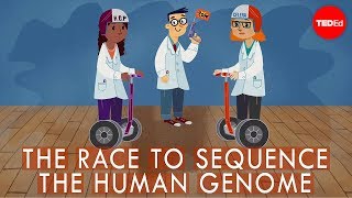 The race to sequence the human genome  Tien Nguyen [upl. by Atinet559]