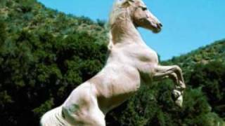 Caballo blanco [upl. by Graham]