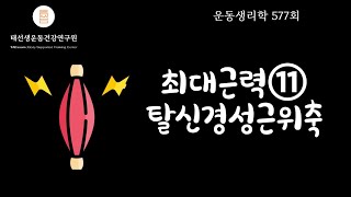 【577회】 최대근력⑪ 노화와 탈신경성 근위축 Denervation muscular atrophy 태선생 [upl. by Nuawd842]