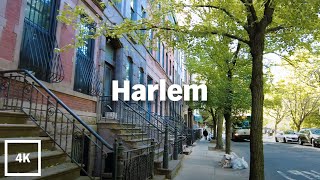 ⁴ᴷ⁶⁰Walking New York City Harlem Brownstones [upl. by Lovmilla]