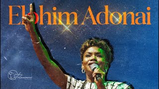 Elohim Adonai  Pastor Toluwani Odukoya  Live Worship [upl. by Oiceladni]