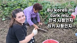 국제커플 튀르키예 아내가 시골에서 밭일을 하는데 다들 놀란 이유는 🇹🇷🇰🇷 [upl. by Eleirbag680]