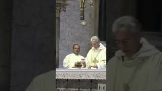 catholica Misa católica hoy sacerdote Santa misa diaria holymass bari shortvideo op music fy [upl. by Ravaj]