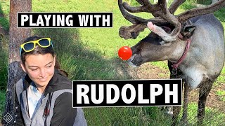 ALL ABOUT REINDEER Lapland Finland Vlog  EP 206 [upl. by Aleyak]