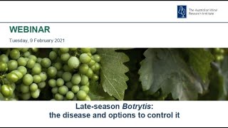 Late season Botrytis the disease and options to control it [upl. by Eahsan]