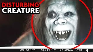 Most Shocking Camping Encounters Ever Caught on Camera [upl. by Datnow]