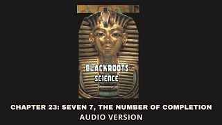 Chapter 23 Seven 7 The Number Of Completion  Blackroots Science Vol 1 [upl. by Anma]