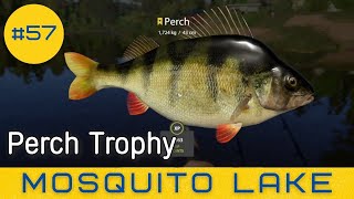 Russian Fishing 4  Mosquito Lake  Perch Trophy  57 [upl. by Hilleary]