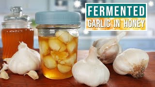 FERMENTED GARLIC in HONEY with Safety Tip To Prevent Honey Botulism Poisoning [upl. by Enialed]