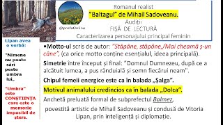 M Sadoveanu ”Baltagul” Audiție Fișă de lectură Caracterizarea personajului principal feminin [upl. by Aitropal]