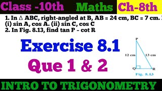 EX 81 Que 1 amp 2 class 10 maths introduction to TRIGONOMETRY  class10 ncert maths chapter8 [upl. by Drobman]