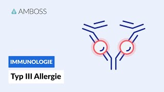 Immunkomplex Reaktion  Typ III Allergie  Biochemie  AMBOSS Video [upl. by Breena]