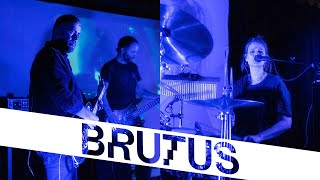 Brutus — A Forest The Cure cover  StuBru LIVE LIVE  Studio Brussel [upl. by Bekha]