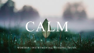 CALM  Worship Instrumental  Soaking In His Presence [upl. by Nahaj]