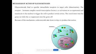 Mechanism of action of glucocorticoids [upl. by Larson]