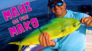 Two days of Mahi fishing on the Mako 18 LTS [upl. by Huntington]