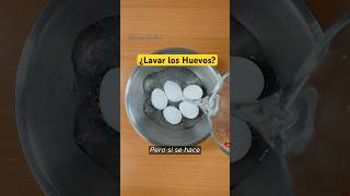 ¿Lavar los huevos es necesario cienciaycocina shorts [upl. by Eiramanel]