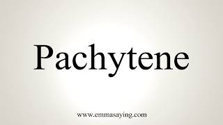 How To Pronounce Pachytene [upl. by Giarc394]