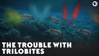 The Trouble With Trilobites [upl. by Eugilegna]