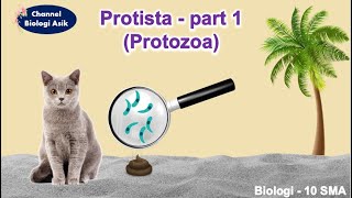 Protista part 1 Protozoa  Biologi kelas 10 SMA [upl. by Milore]