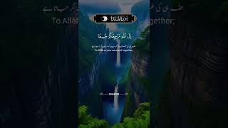 Tilawt Quran majeed [upl. by Goldsmith592]