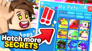 EASIEST SECRET PETS To Get In BubbleGum Simulator Roblox [upl. by Pronty]