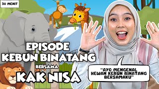 Belajar dan Bermain Episode Hewan Kebun Binatang Untuk Balita  Belajar Kata Lagu Interaktif Balita [upl. by Mchail930]