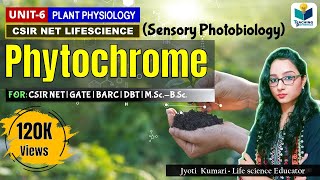 PHYTOCHROME  CSIRNET  GATE  Plant Biology  Sensory photobiology [upl. by Julita]