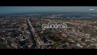 Apresentação Salicornia Villas  REMAX UNIVERSAL [upl. by Gord]