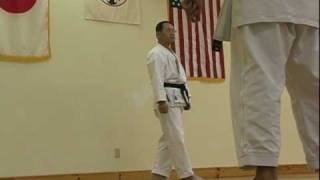 Traditional Shotokan Karate Heian Sandan [upl. by Hares]