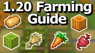 The Ultimate Minecraft 120 Crop Farming Guide  Tips and Tricks to Efficiently Grow Food [upl. by Pyne56]