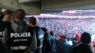 Benfica Topo Sul loucos da cabeça [upl. by Rivkah]