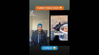 Yo mama cheated on me with a black cat 😄😄😄 comedy funny funnyvideos trending shortsvideo [upl. by Hild]