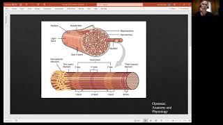 Biology 2010 Chapter 10 Skeletal Muscle Tissue Muscle Fiber Video 4 [upl. by Atibat]