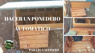 Como hacer un ponedero automático en el gallinero o corral [upl. by Eceryt]