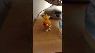 Heres My Torchic [upl. by Boylston254]