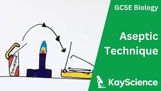 Culturing Microorganisms Required Practical Aseptic Technique  GCSE Biology  kaysciencecom [upl. by Rica]