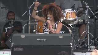 Kandace Springs performs quotWest Coastquot at AFROPUNK FEST 2014 [upl. by Atsilac]