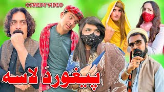 Peghor Da Lasa Comedy Video Zalmi Vines [upl. by Lesoj847]