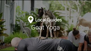 StandUp Paddleboarding amp Goat Yoga in Houston  Fit For a Day Ep 12 [upl. by Gideon]