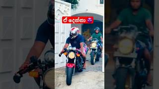 ආ පැටියො කොහොමද 😁 hondahornet slbikes hornet250 bikevideo automobile japanbike bikelife sl [upl. by Hcab]