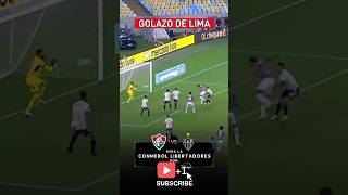 En los 87 minutos llego el gol de lima para el 10 de fluminense vs atleticomineiro futbol [upl. by Nnahsal598]