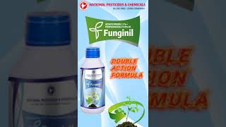 FUNGINIL  Azoxystrobin 71  Propiconazole 119 SE Fungicide [upl. by Ientirb]