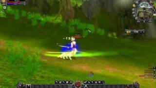 Dragons Dream Game Play  Custom Version of 9Dragons by Storm Entertaiment [upl. by Alaster]