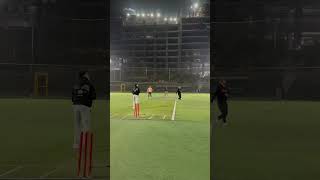 Cricket Classic 🏏 cricket cricketreels cricketlovers reels reelsinsta reelsvideo [upl. by Clarisa]