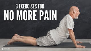 The 3 Best Back Exercises For NO MORE PAIN [upl. by Ora]